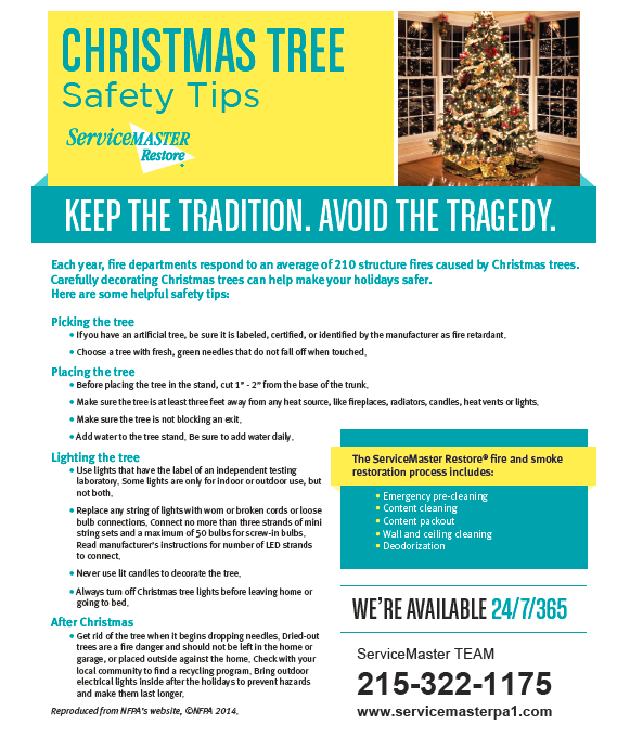 SMTeamMFH's tweet photo. Safety Tips for Christmas Trees #safetyfirst #Christmas #important https://t.co/h2ZL3zwztL