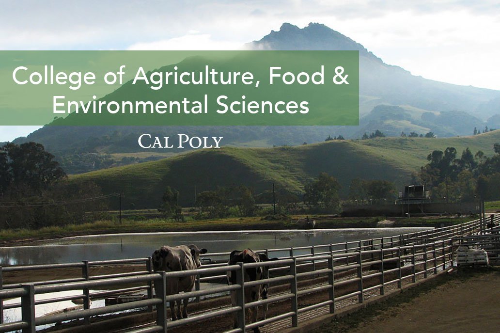 Cal Poly on Twitter "Our CalPoly_CAFES ranked as one of the top 4