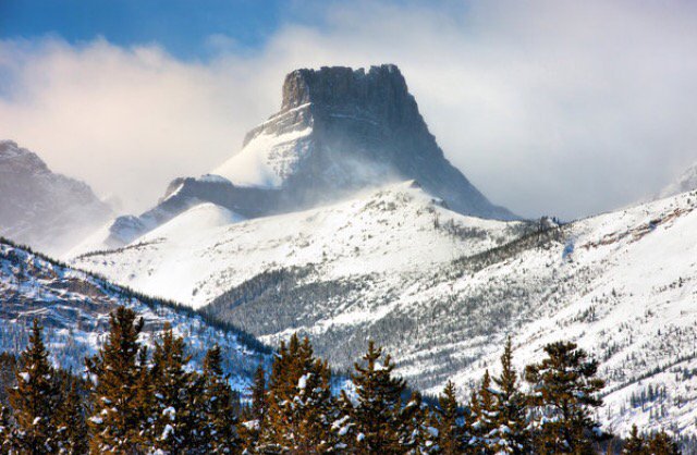 Highline Magazine tweet media