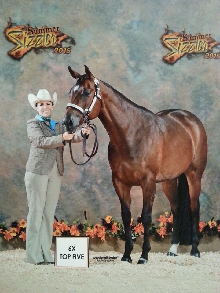 EquiFUSE's tweet photo. Do you have an EquiFUSE shiny horse? https://t.co/LiaqNy2Vow