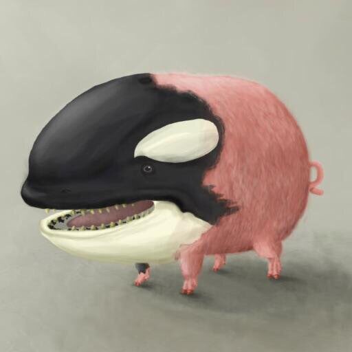 beckylapthorne's tweet photo. No going back now time to put on the Christmas fat 😫😫 #piggale #currentmood 😭😭 https://t.co/OJiAJfpbxm