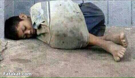 1mtl_'s tweet photo. اللهم انزل دفئك على من لا مأوى له ..

#نجلاء_للمليون 

. https://t.co/S7AcRVeMLa