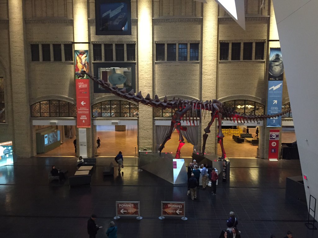 haigscience's tweet image. EH Bio at the ROM. @ROMtoronto #evolution