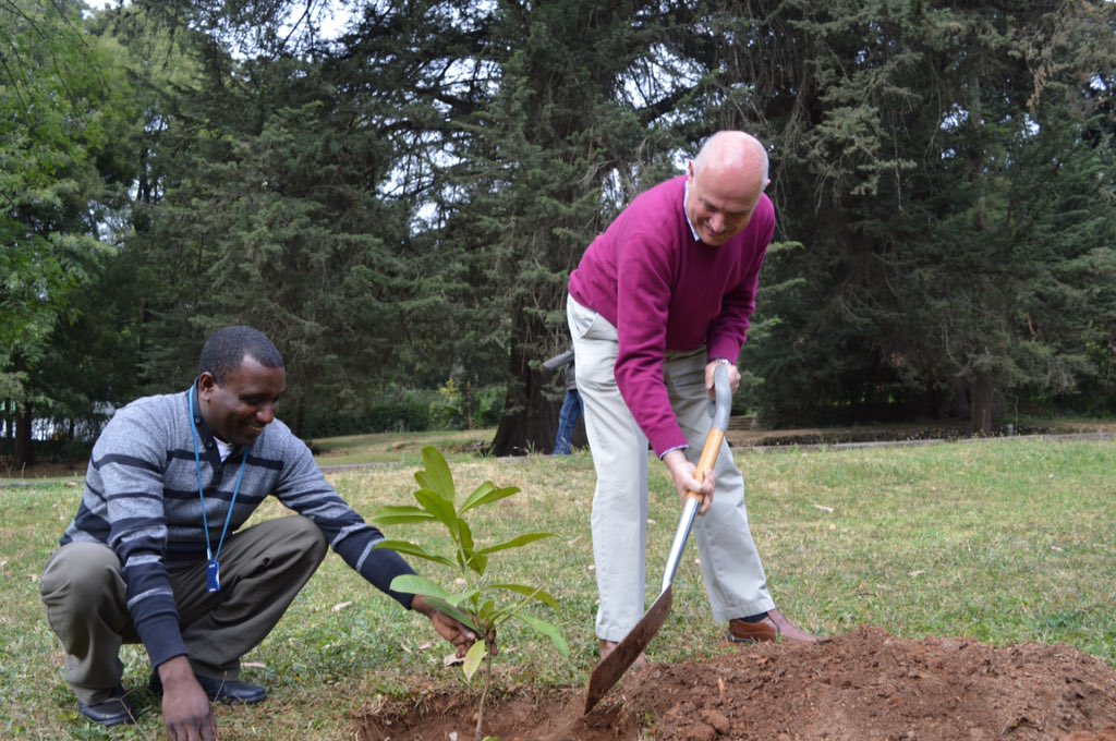 GregDoreyIT's tweet photo. Touched colleagues at the #BritishEmbassyAddis wanted to plant a #magnolia to remember me by today. @UKinEthiopia https://t.co/5PVNteR8k0