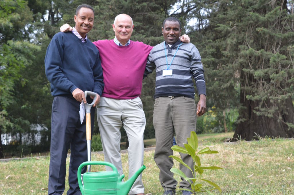GregDoreyIT's tweet photo. Touched colleagues at the #BritishEmbassyAddis wanted to plant a #magnolia to remember me by today. @UKinEthiopia https://t.co/5PVNteR8k0