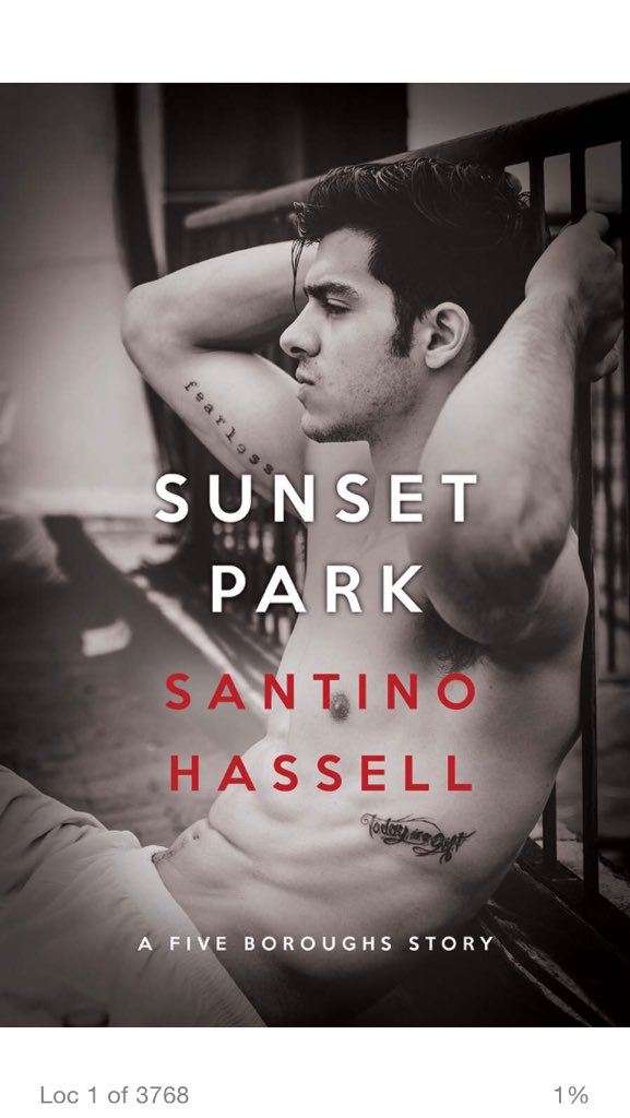 giuliabo's tweet photo. Happiest of happy publication days @SantinoHassell. It's Sunset Park time on this side of the pond #kindlemagic https://t.co/vSOPUFwAe1