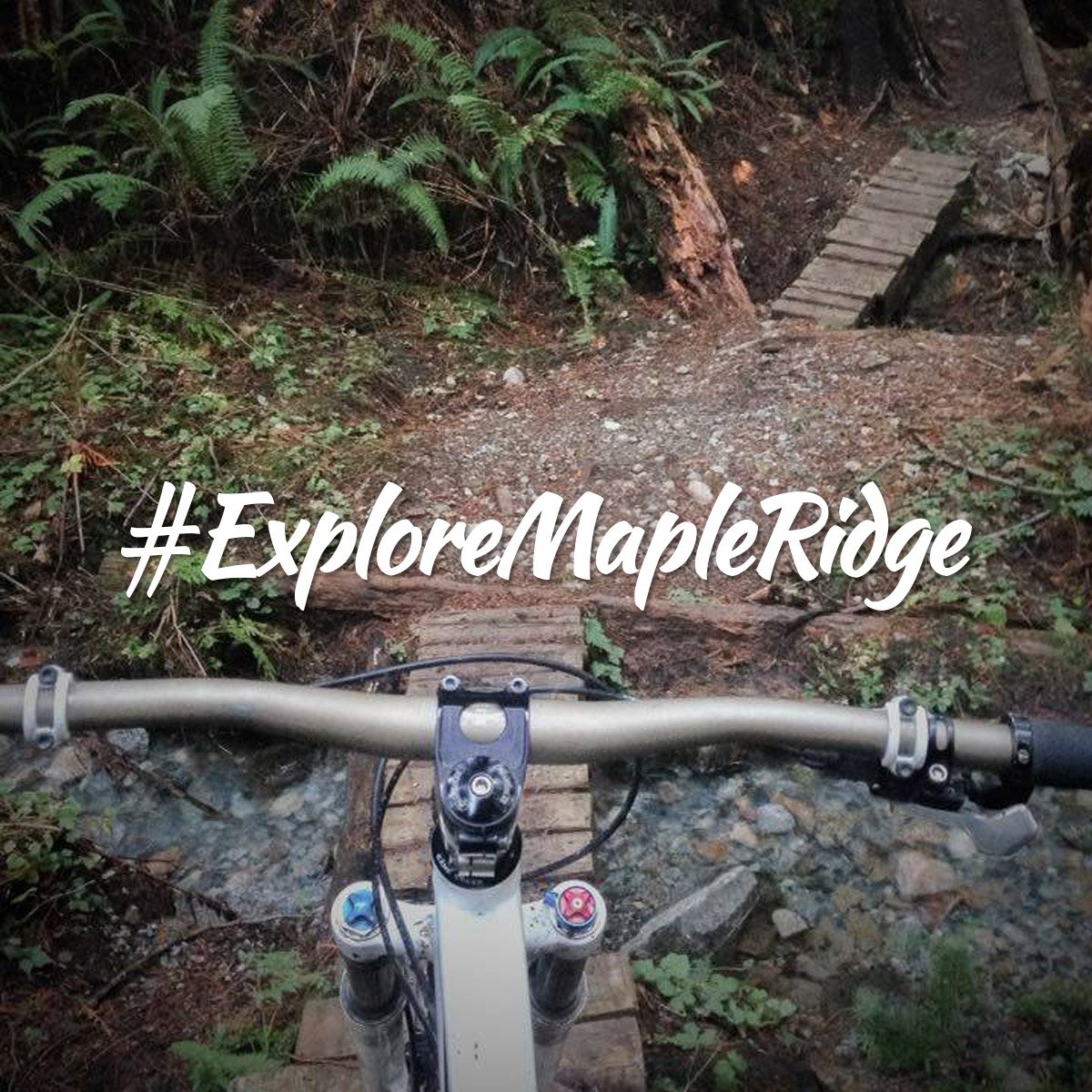 #Exploring mountain biking the #modern #entrepreneur way! Does your #lunchbreak look like this? #exploremapleridge