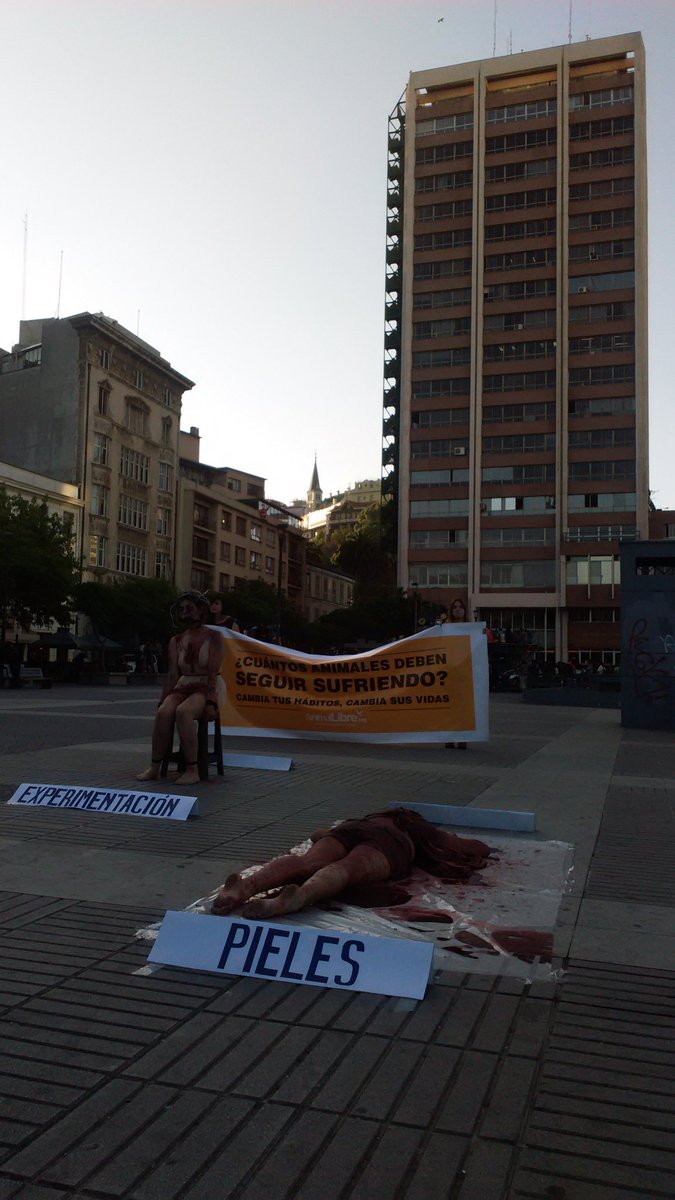 manuel_jft's tweet photo. Mientras tanto en la #Intendecia #Valparaiso
@Animal_Libre @ucvradio @TeAmoValpo https://t.co/Bk7Ba721AM