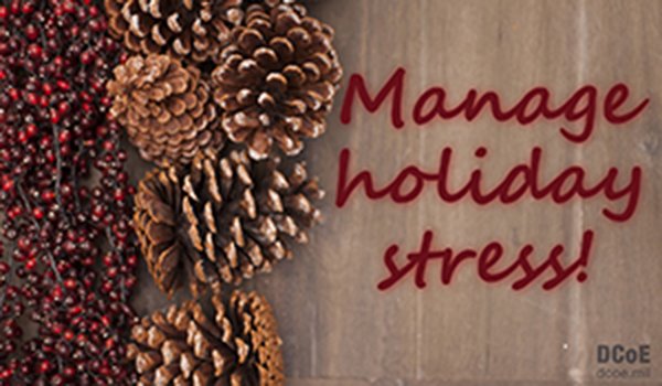DeptofWar's tweet photo. Do you need help managing stress this holiday season? An app may be the answer: https://t.co/KOw5YCzRbm https://t.co/VedN2fk7eM