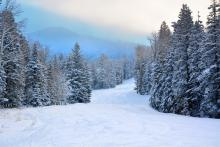 AguaFriaOwlsHS's tweet photo. Here are some fun AZ winter traditions. by @OwlFeed_Ashley @GlendaleAZ @AZSnowbowl
https://t.co/uOUAfFQnKX #BeAnOwl https://t.co/Y8FcoVoYEI