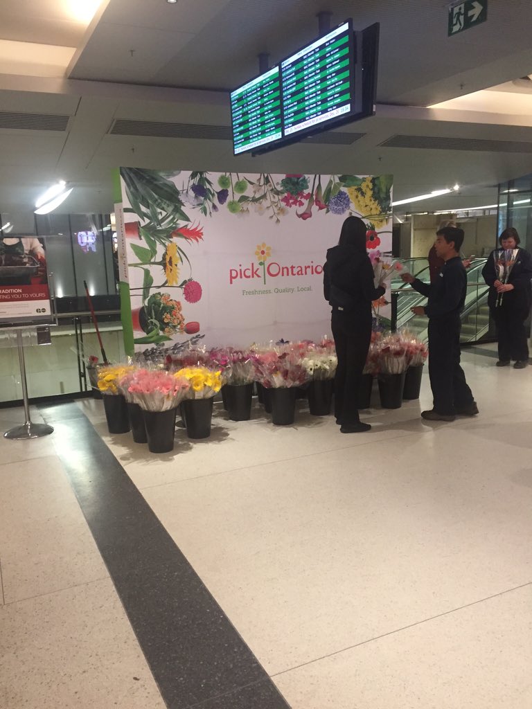 canadianprguy's tweet photo. @PickOntario is at @unionstationTO handing out flowers.   Spread the word. https://t.co/gUqh69qVem