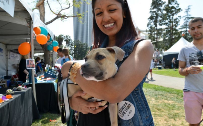 BarkPost's tweet photo. The 11 Types Of Dogs You’ll Meet At A Super Adoption Event https://t.co/L6PHEDobJe https://t.co/FMkUy23YaJ