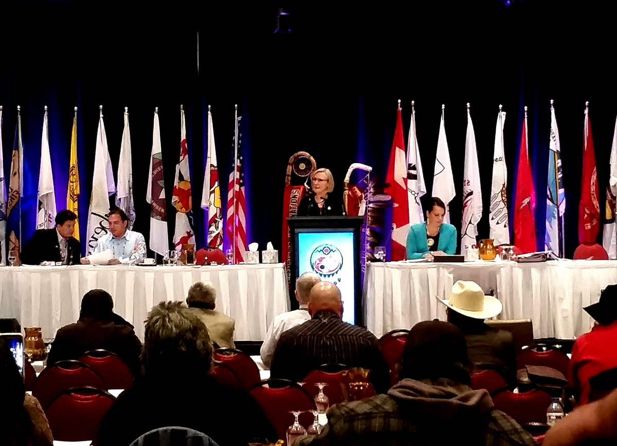 NWAC_CA's tweet photo. Minister for Indigenous Affairs @Carolyn_Bennett addressing #AFNSCA2015 #ourinquiry #cdnpoli https://t.co/ed4uIjT4fA