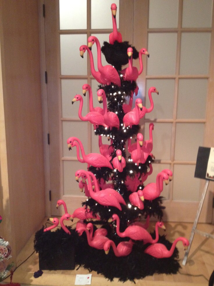 Anne_marieke_01's tweet photo. @MaluClair89 @volkskrant Jaaaa, ik wil een #flamingotree met kleine cactusballen ertussen ๐๐๐ https://t.co/hknxMzGj4C