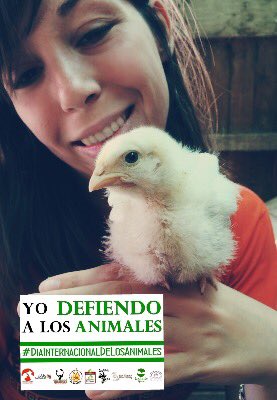 comunicanimales's tweet photo. #yodefiendoalosanimales #diainternacionaldelosanimales https://t.co/SuD9jsCTzU