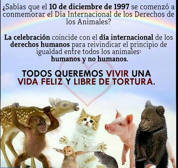 yolandamesas's tweet photo. #DiaDerechosAnimales https://t.co/V4eCkGHYKf