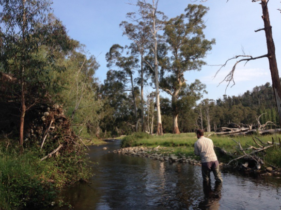 TroutUnlimited's tweet photo. Talking trout #DownUnder https://t.co/5irKJM7u4C #TUWorld #FisheriesVictoria https://t.co/ghqUkfSiyy
