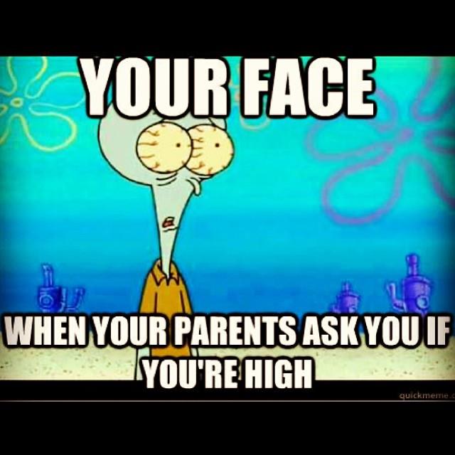 MJGrowBlog's tweet image. 