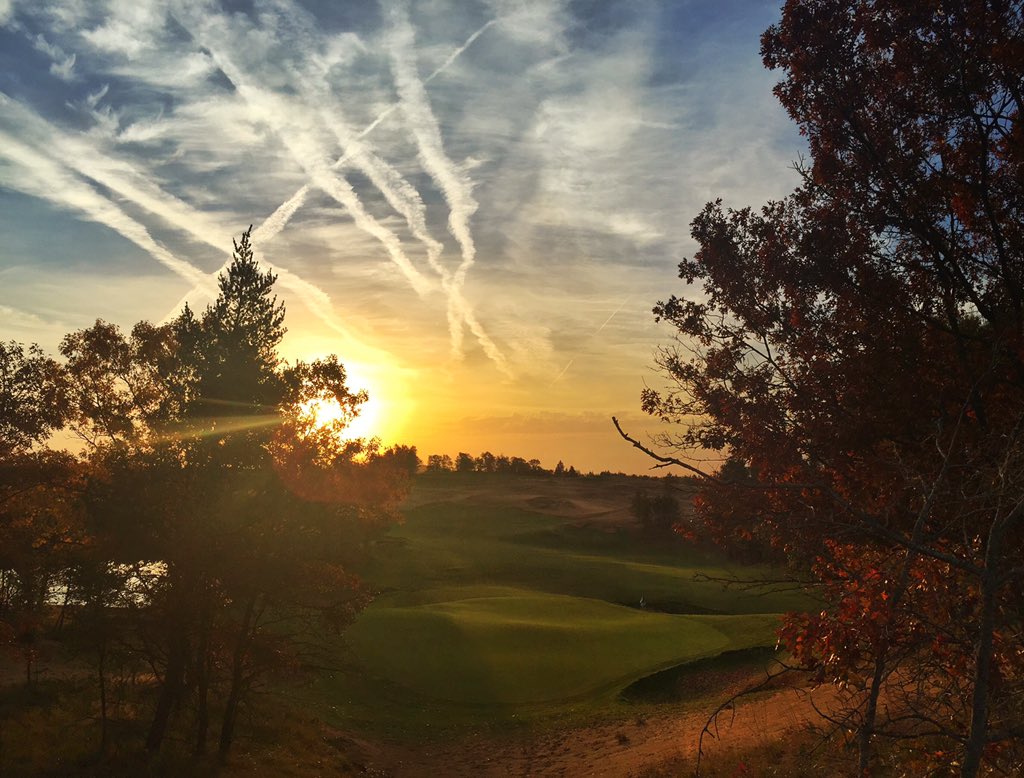 Matt Ginella tweet media