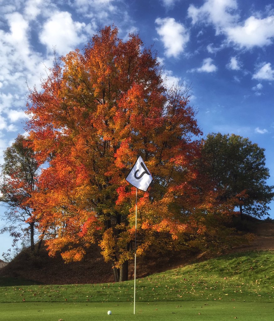 Matt Ginella tweet media