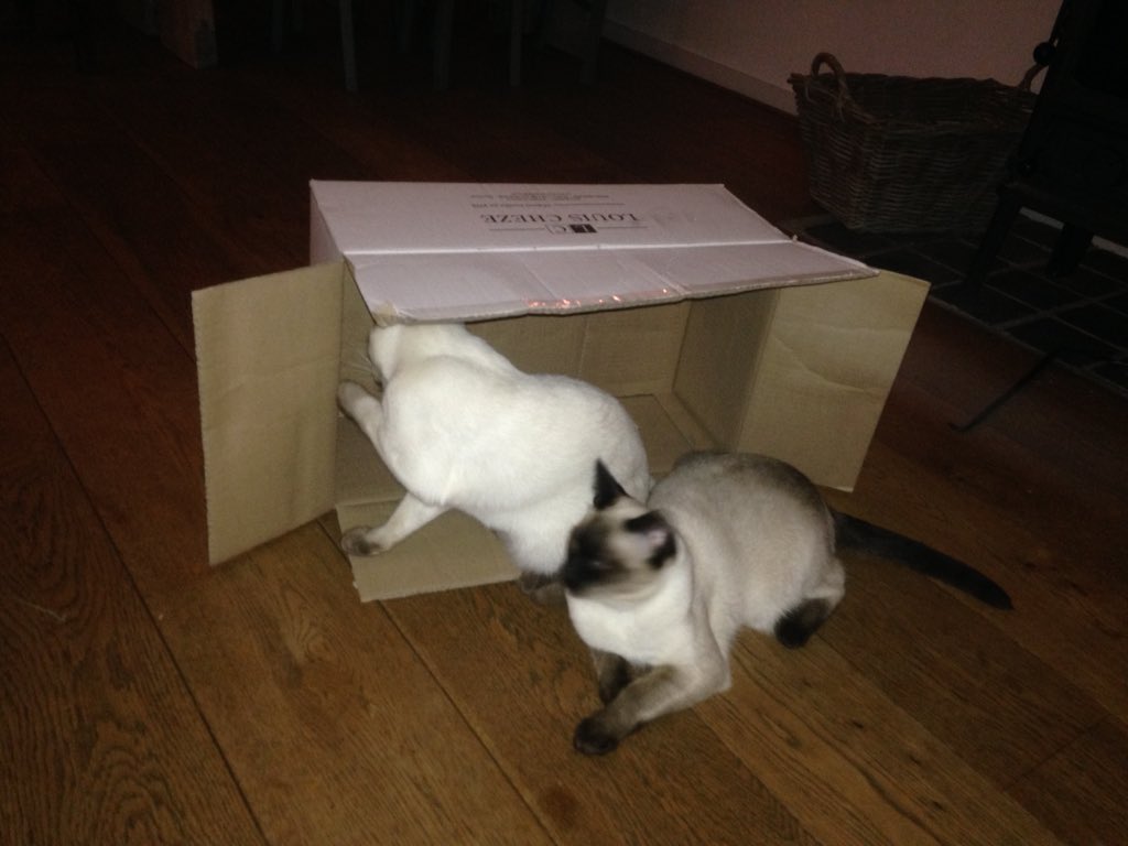 Wel fotootje bijvoegen natuurlijk...