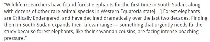 LSafricaworks's tweet photo. Proving once again that #SouthSudan has such a wealth of biodiversity! https://t.co/yweL3nDgdK https://t.co/aXZkEKeNb0
