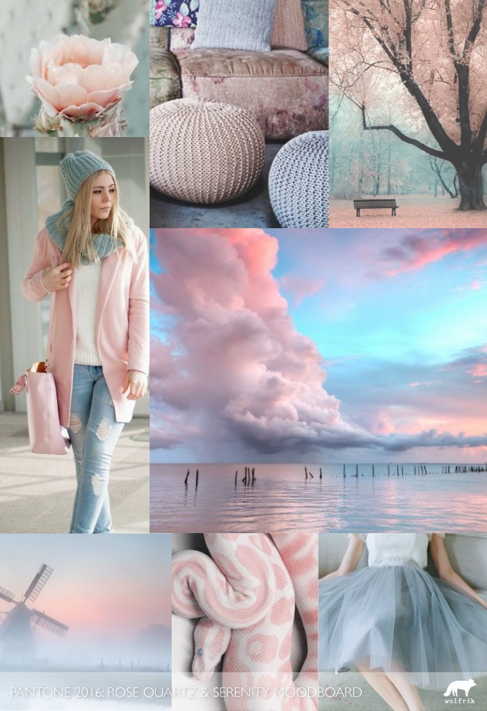 wolfrikmx's tweet photo. Nos encantan los colores #pantone2016 - #RoseQuartz &amp; #Serenity. Que tal este moodboard? https://t.co/sJJU8HsnaQ
