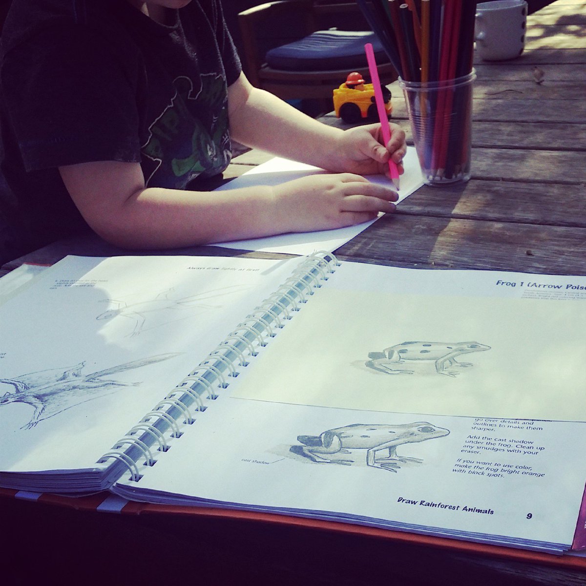 madereal's tweet photo. I have a drawing buddy with me today. Soaking up the the morning sun on this beautiful day #drawreallycoolstuff https://t.co/mLVYoOITi2