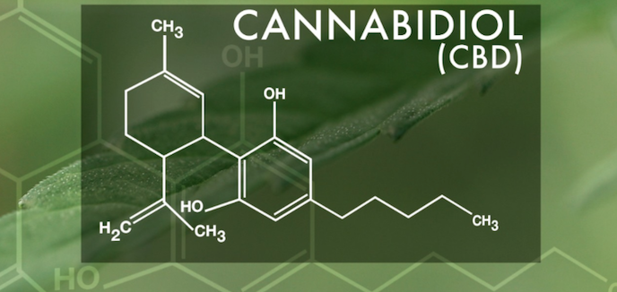Recreator's tweet photo. New study confirms #cbd is an effective treatment for #epilepsy >>> https://t.co/QBNdiUPmLi #hemp @mjdotc https://t.co/zrG1kh6RKV