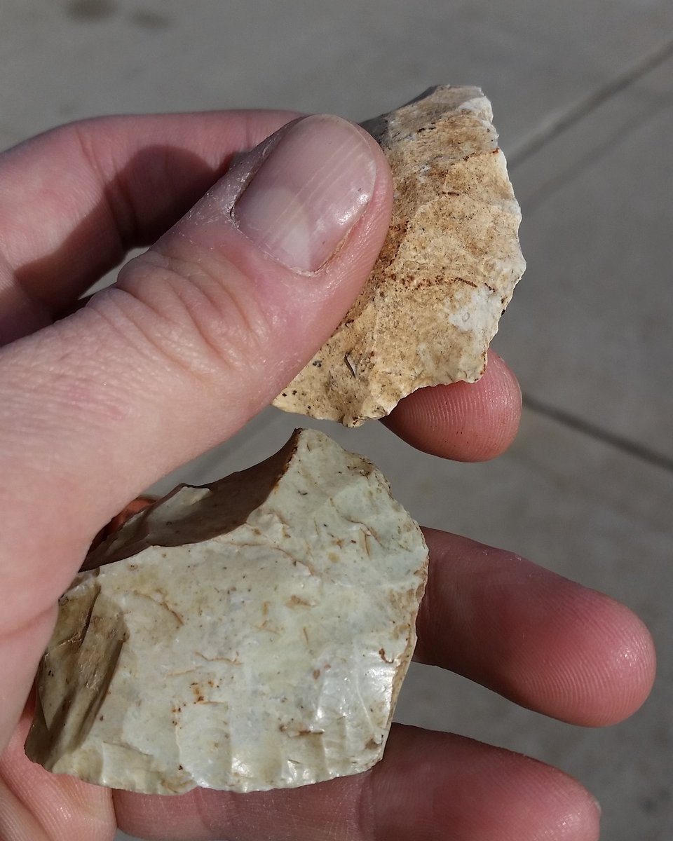 honcharella's tweet photo. Nice turtle back scraper and what must've been part of an adze due to the high polish #archaeology #illinois https://t.co/VX8HKR9KFV