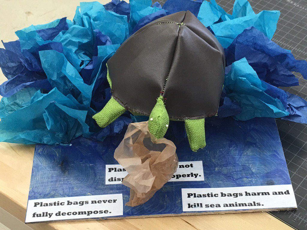 KeriKolettis's tweet image. @PC_FtL_LS @PineCrestSch 5th Read/Write Ss creating models for persuasive essays #makered #ilab #seaturtleprotection