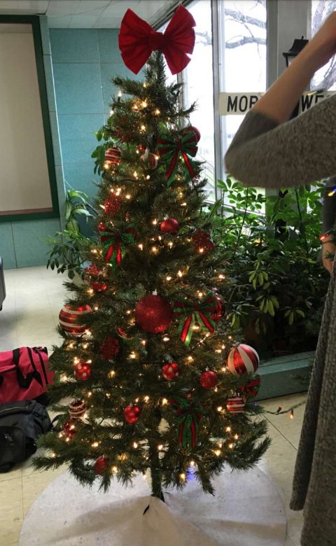 The Christmas tree that Class of 2018 decorated! 🎅🎄🎀