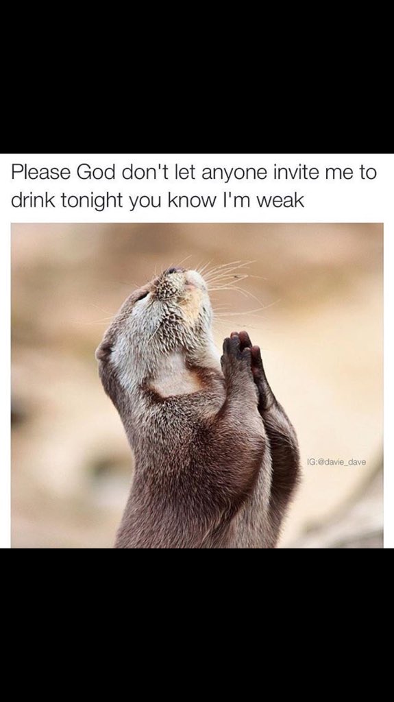 Með Braga sem barþjón á hverjum fimmtudegi er þetta eilíf barátta 🤔🍻 #nemofnv <a href="/Bragi97/">Bragi Örn Hilmarsson</a>