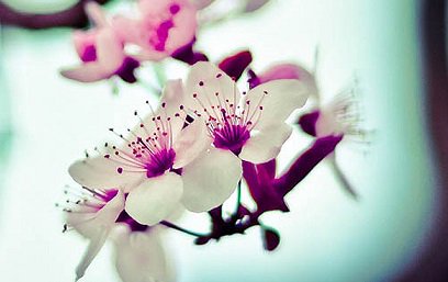 ElLeonSpa's tweet photo. 'Relaxation is the art of letting go.' - Dan Brule https://t.co/Tpw99hE9mX