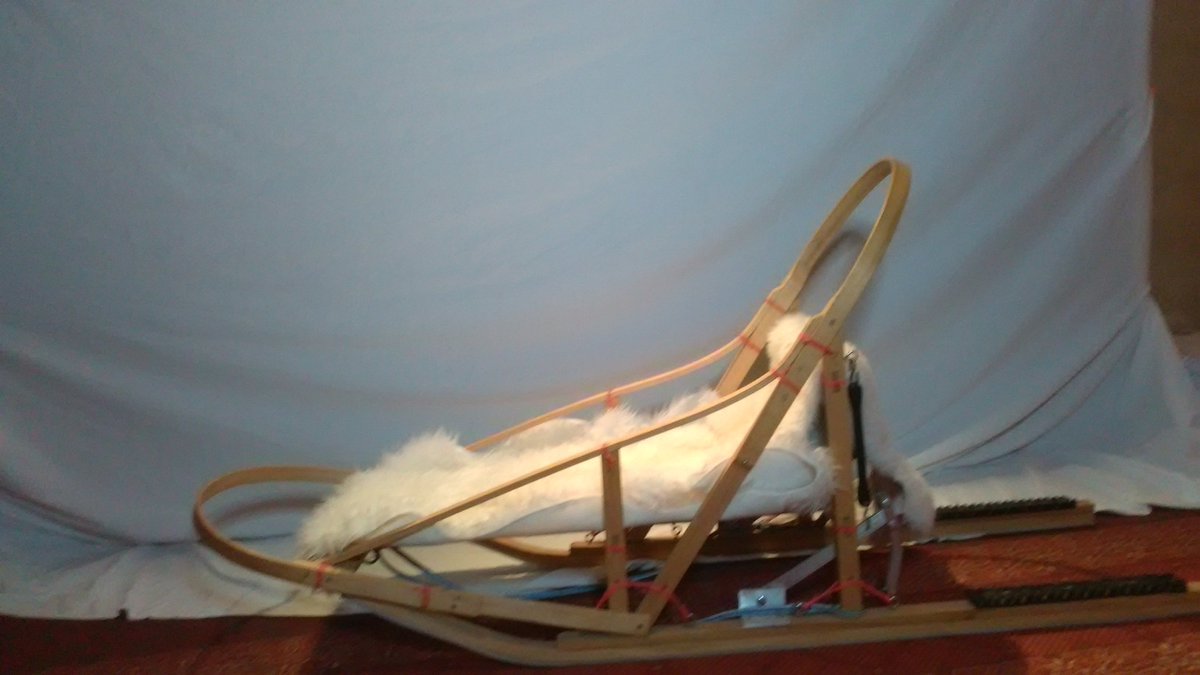 People can get their photo in a dog sled tonight at the #AFN gala
