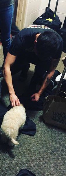 calumshappy's tweet photo. + puppies https://t.co/zTp4arKINZ