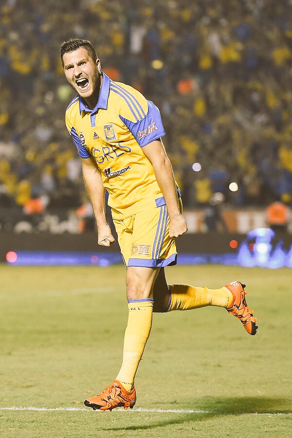 ElReyApostador_'s tweet photo. André-Pierre Gignac con Tigres:

✓ 14 goles en México.
✓ 3 goles en 5 partidos de Liguilla.
✓ Fichaje de lujo. https://t.co/qMZXoDWhSQ