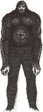 BartyAnderson's tweet image. Silky soft fur #SquatchWatch