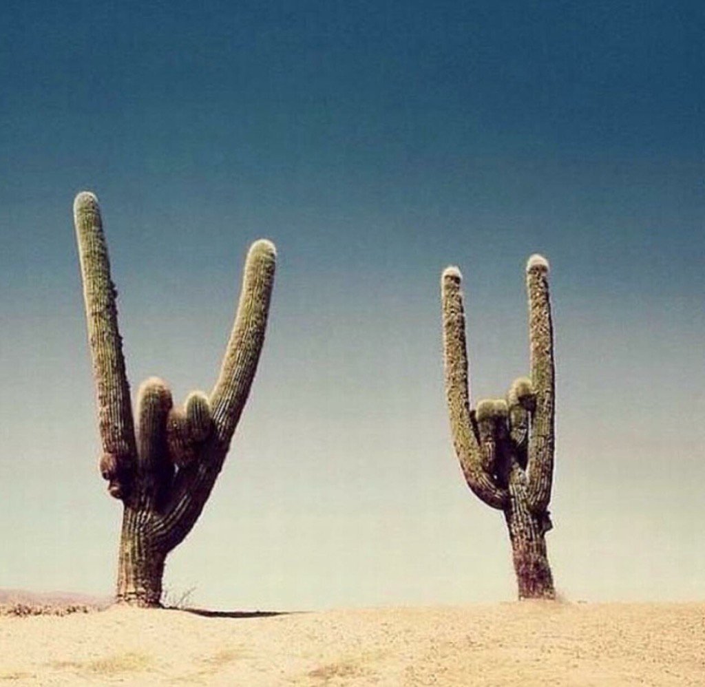 Tony Raponi (@revalationrec) on Twitter photo 