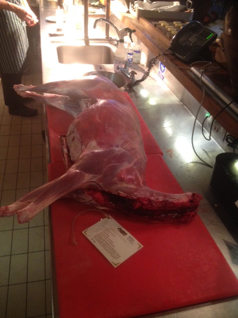 plshearing's tweet photo. A 25kg deer from @downlanddeer was a great start to the day @breadstkitchen it's all about the ingredients. https://t.co/tAhZlOkUPd