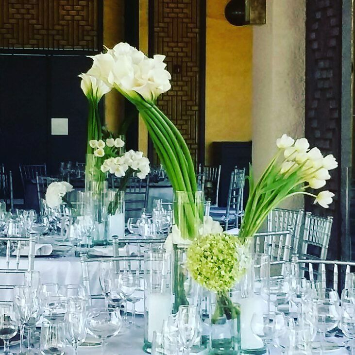 #whiteandgreenflowers #callalily #tulip #weddingflowers #weddingreception #weddingcenterpi… ift.tt/1HXzbWA