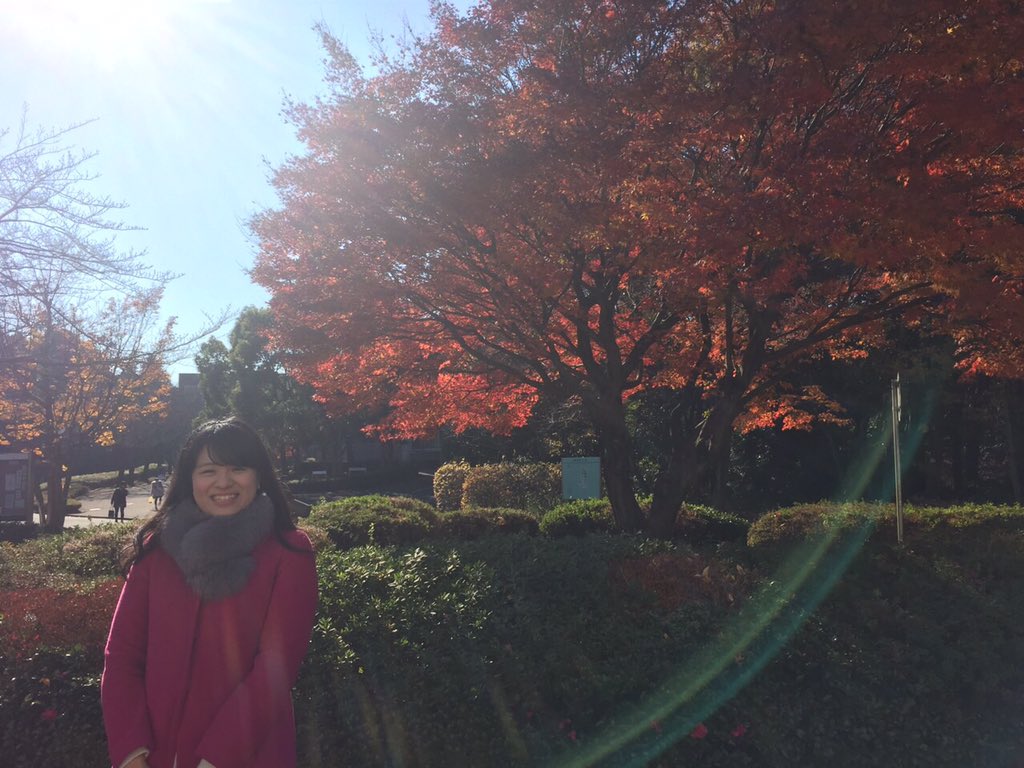 こんなに風が強かったら全部なくなっちゃったかな〜
大学のお気に入りの木🍁笑
このまえ念願かなって撮ってもらった✨