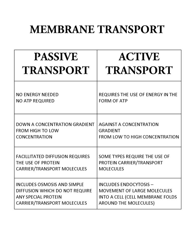 Passive Transport Vs Active Transport Venn Diagram Active Vs