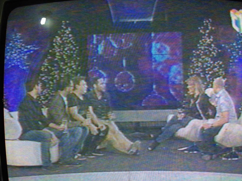 jcpolanco15's tweet photo. #PROGRAMALOCO @Cheverenights @MilagrosGermanO @irvinalberti @sergiocarlo https://t.co/7KIzEjKICk