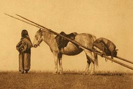 MrPlains_FN's tweet photo. Anyone want fresh bison meat? Can be delivered to you on a travois pulled by my new HORSE! :) #freeshipping https://t.co/5tFJuX7LZ4