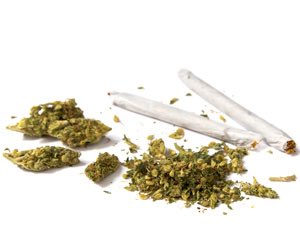 lily907547's tweet photo. Retweet so you could upgrade how much kush you have! https://t.co/i2iX2C8ldL