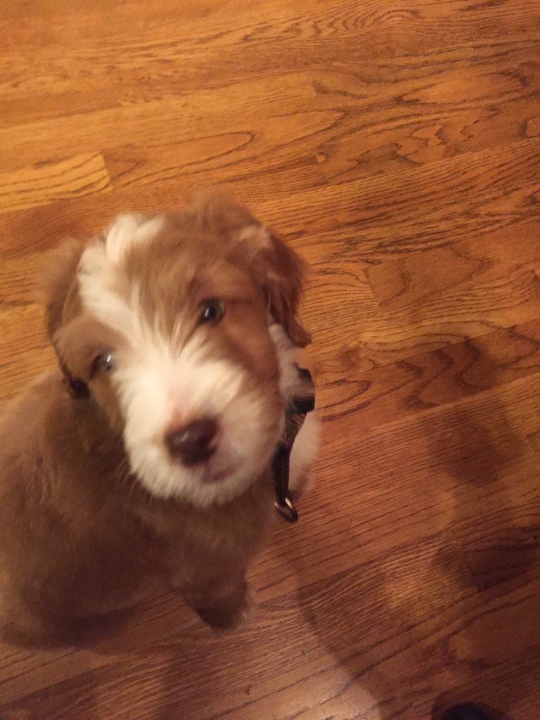 mhill954's tweet photo. Welcome to the fam Jordy https://t.co/SfiTfexkkK