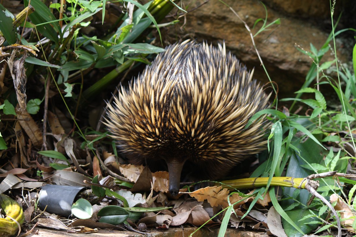 Catherine Huddy tweet media