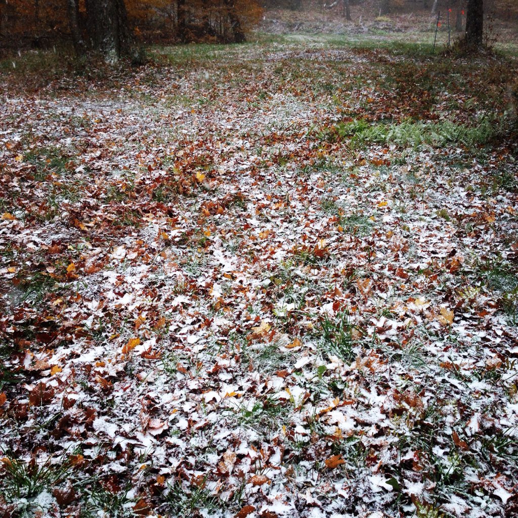 Can't live on crumbs