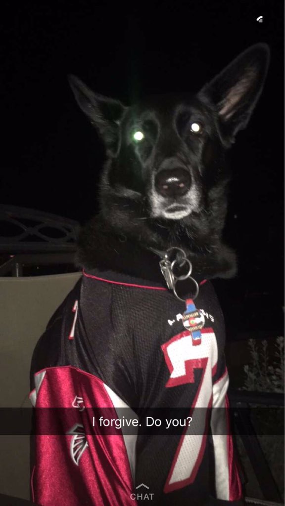 mike vick dog jersey